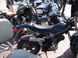 Sylt Summer time Party