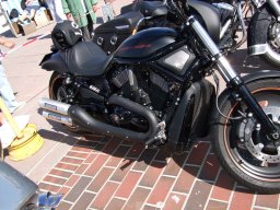 Sylt Summer time Party