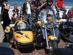 Sylt Summer time Party