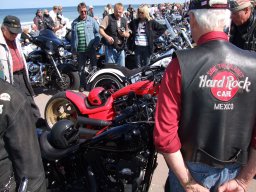 Sylt Summer time Party